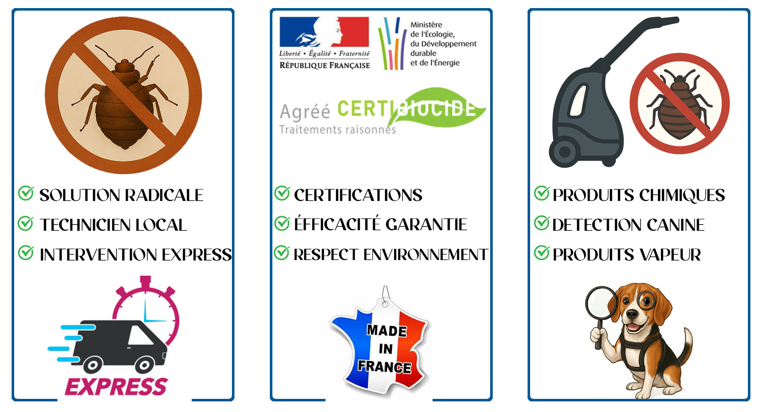 Punaises de Lit Choisy le Roi